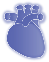 Icon of a human heart 