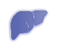 Elevated liver enzymes